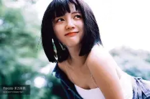 偷逃税款